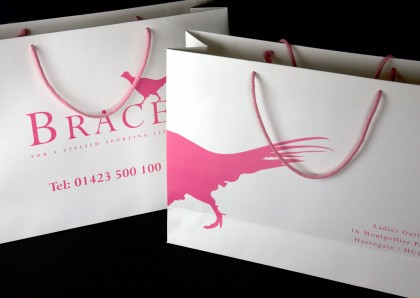 Brace clothes shop bags